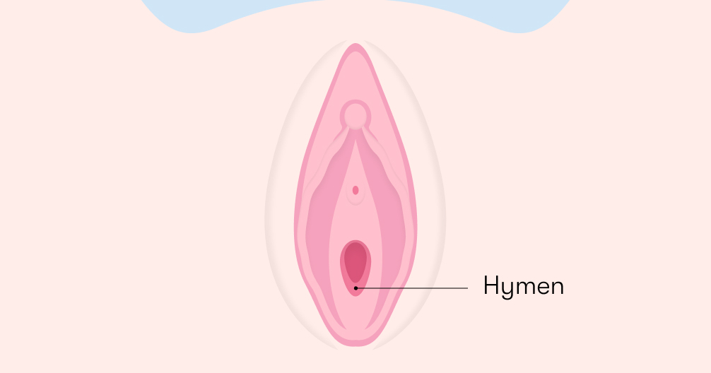 What is a hymen and what does it look like Flo